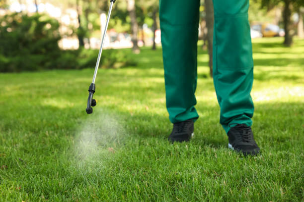 Best Affordable Pest Control Services  in Seymour, IN