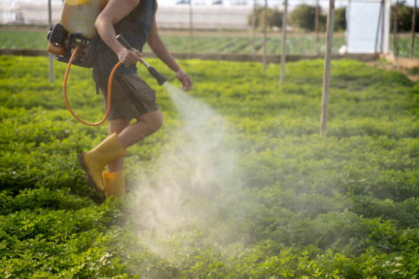 Best Residential Pest Control  in Seymour, IN