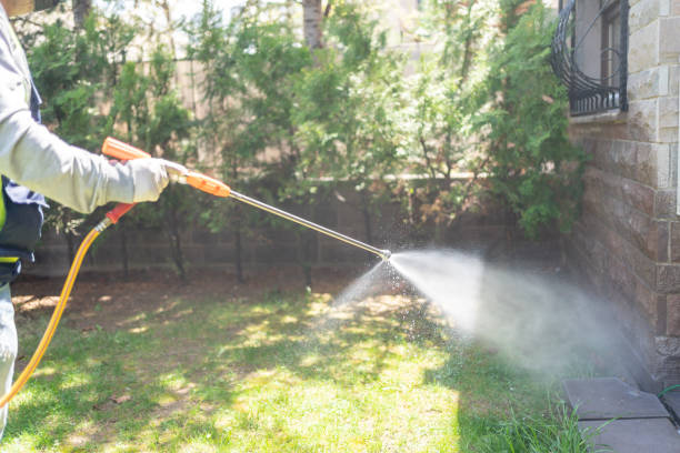 Best Pest Control Near Me  in Seymour, IN