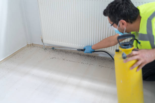 Best Best Pest Control Companies  in Seymour, IN